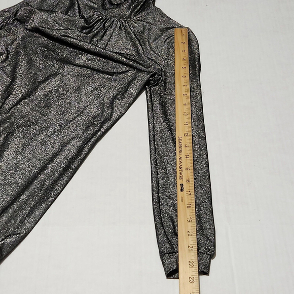 Gray Long Sleeved Tunic Dress Mock Neck Viscose Silver Metallic Quiet Luxury XS - Picture 11 of 14
